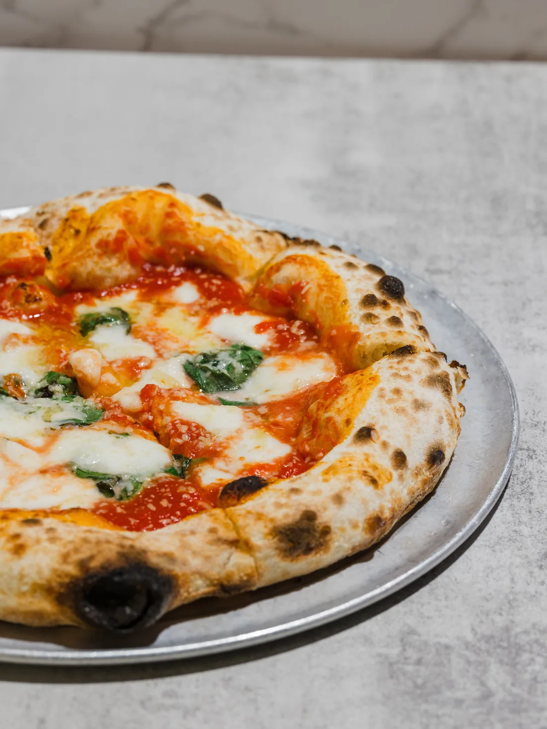 A margherita pizza with a leopard-spotted crust, fior di latte and basil on a steel tray